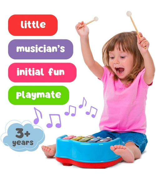 2 in 1 xylophone and piano musical toy for kids learning and fun